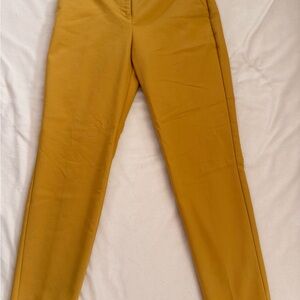 Express Golden Mid Rise Pants